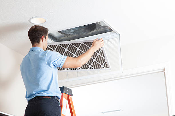 Best Air Filters and Purifiers in Edgeworth, PA